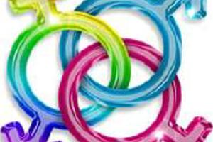 Week 20: Selm Wenselaers