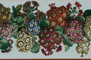 Week 26: Isabelle Bambust