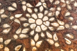 Week 37: Cees Koster