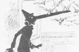 Week 35: Ton Naaijkens