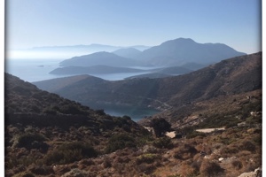 Week 41: Ton Naaijkens