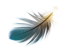 Week 46: Bert de Waart