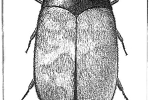 Week 1: Ton Naaijkens