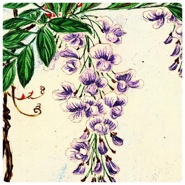 Week 4: Naaijkens & Koster