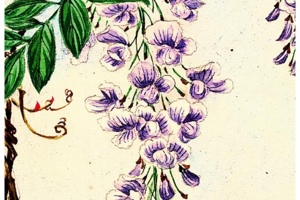 Week 4: Naaijkens & Koster