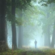 Week 9: Amber Janssens