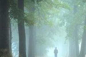 Week 9: Amber Janssens