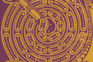 Week 15: Fabian Stolk