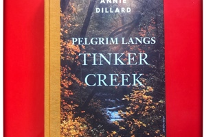 Juryrapport Filter Vertaalprijs 2020