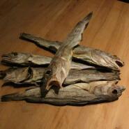 Week 19: Roemer Leushuis