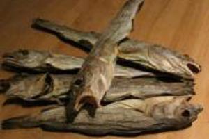 Week 19: Roemer Leushuis