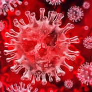 Week 24: Isabelle Bambust