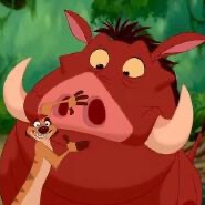 Week 8: Elisabeth Van Haegenborgh