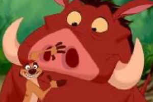 Week 8: Elisabeth Van Haegenborgh