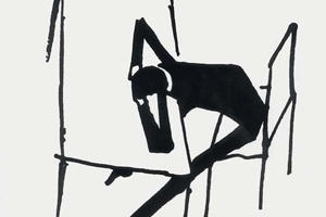 Week 30: Els Andringa