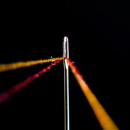 Week 31: Daan Stoffelsen