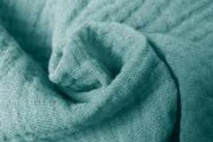 Week 38: Isabelle Bambust