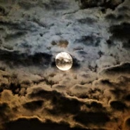 Week 43: Onno Kosters