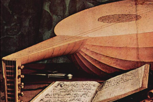 Week 49: Isabelle Bambust