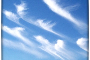 Week 0: Ton Naaijkens