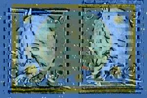 Week 8: Saskia Vandenbussche