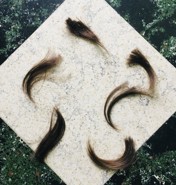 Week 18: Isabelle Bambust