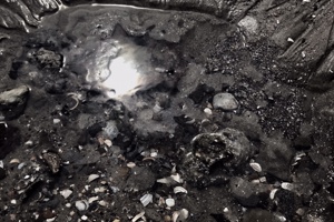 Week 26: Bert de Waart