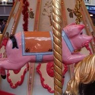 Week 22: Saskia Vandenbussche