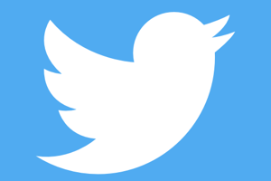 Week 46: Anne Sluijs