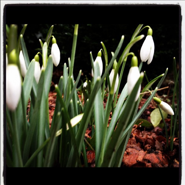 Week 1: Eva Wissenburg