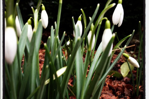 Week 1: Eva Wissenburg