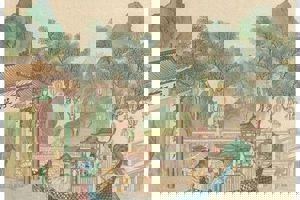 Week 50: Silvia Marijnissen