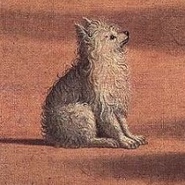 Week 3: Vincent Hunink