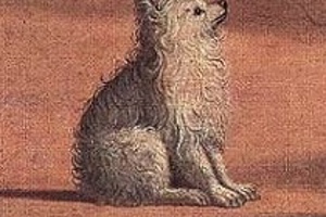 Week 3: Vincent Hunink