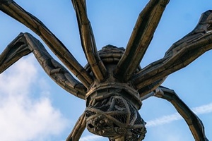 Week 9: Fabian R.W. Stolk