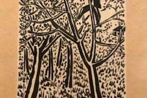 Week 21: Ton Naaijkens