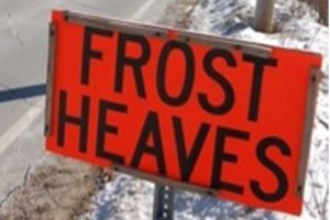 Week 17: Hugo van der Wolf