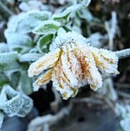 Week 12: Christiane Kuby