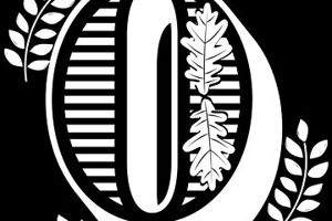 Week 22: Gys-Walt van Egdom