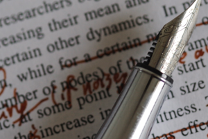 Week 40: Gys-Walt van Egdom